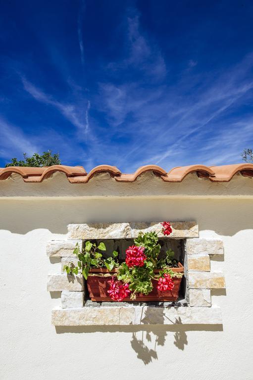 Olive House Zadar Villa Exterior photo